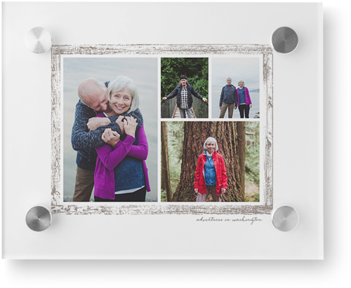 Brushed Border Collage Of Four Wall Art, Single piece, Acrylic, 8x10, Brown, taupe