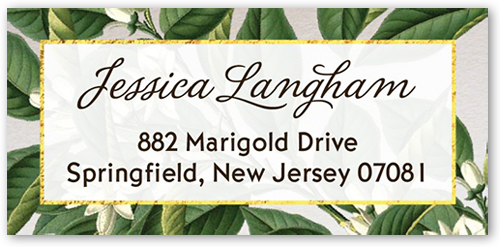 Botanical Dream Address Label, Green, Matte, Leaf