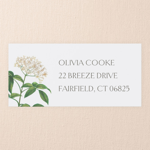 Timeless Layout Address Label, White, Address Label, Matte, White