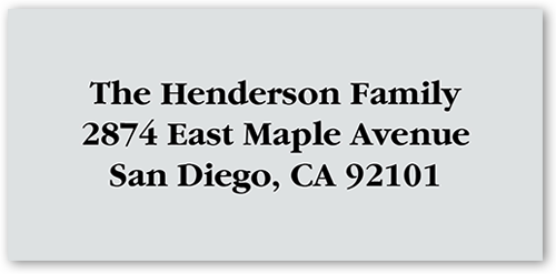 Gallery Greetings Address Label, Grey, Matte, Silver Lining