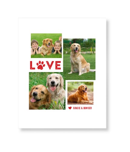 Pet Love Art Print, No Frame, Signature Card Stock, 8x10white