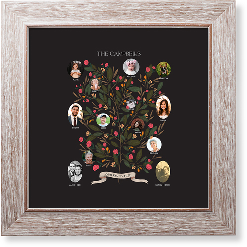 Blooming Family Tree Art Print, Rustic, Signature Card Stock, 12x12, Black