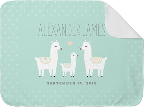 Adventure Llama Baby Blanket