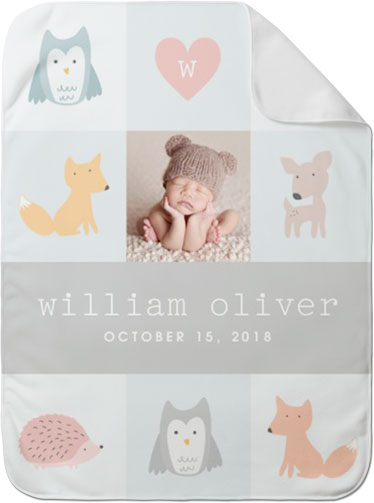 Adventure Woodland Creatures Baby Blanket