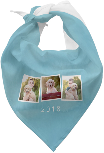 Pet Tilty Collage of Three Bandana