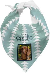 pet bandana shutterfly