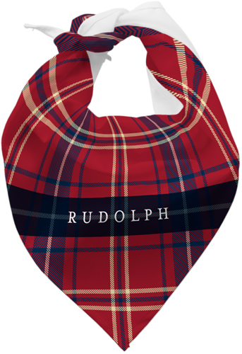 Cool Bandanas