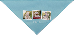 Pet bandana outlet shutterfly