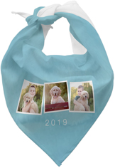 Pet 2025 bandana shutterfly