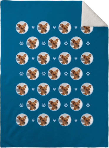 Floating Paws and Pets Fleece Photo Blanket, Sherpa, 30x40, Blue
