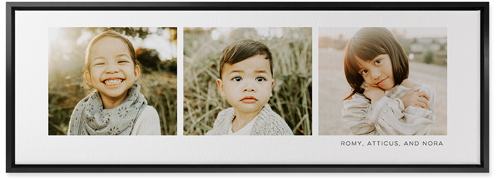 Three Of A Kind Wall Art, Black, Single piece, Canvas, 12x36, Multicolor