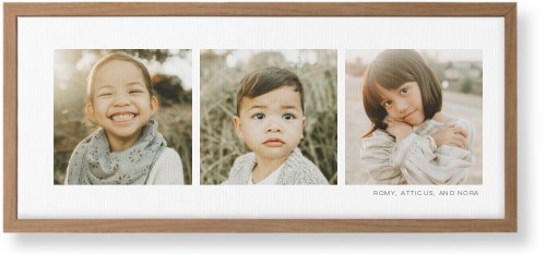 Three Of A Kind Wall Art, Natural, Single piece, Canvas, 10x24, Multicolor, multi