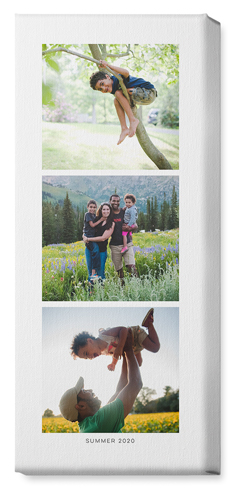 Three of a Kind Portrait Wall Art, No Frame, Single piece, Canvas, 10x24, Multicolor