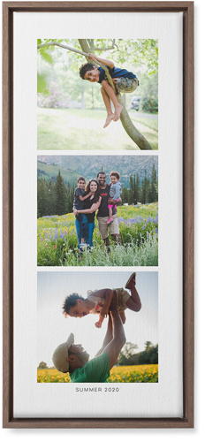 Three of a Kind Portrait Wall Art, Walnut, Single piece, Canvas, 10x24, Multicolor, multi