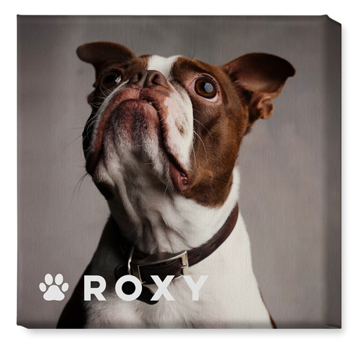 Portrait of a Pet Wall Art, No Frame, Single piece, Canvas, 16x16, White