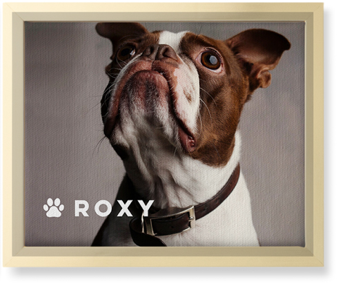 Portrait of a Pet Wall Art, Gold, Single piece, Canvas, 8x10, White