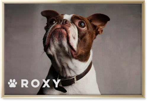 Portrait of a Pet Wall Art, Gold, Single piece, Canvas, 20x30, White