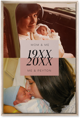 Then and Now Wall Art, Metallic, Single piece, Canvas, 20x30, Pink, desert rose