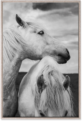 Black and White Horses Wall Art, Rustic, Single piece, Canvas, 24x36, Multicolor
