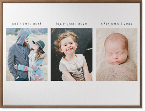 Our Timeline Wall Art, Natural, Single piece, Canvas, 30x40, Multicolor