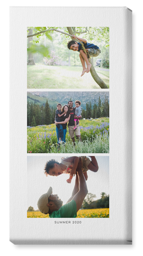 Three of a Kind Portrait Wall Art, No Frame, Single piece, Canvas, 10x20, Multicolor