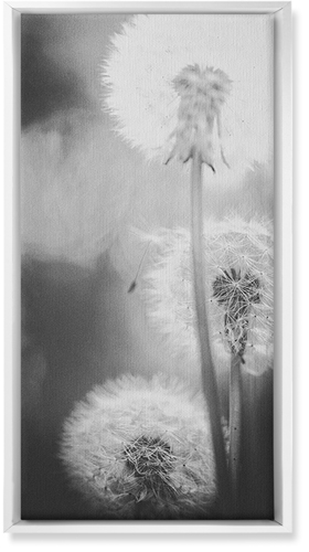 Dandelions Wall Art, White, Single piece, Canvas, 10x20, Multicolor