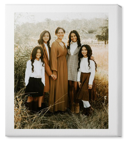 Simple Gallery of One Border Portrait Wall Art, No Frame, Single piece, Canvas, 20x24, Multicolor