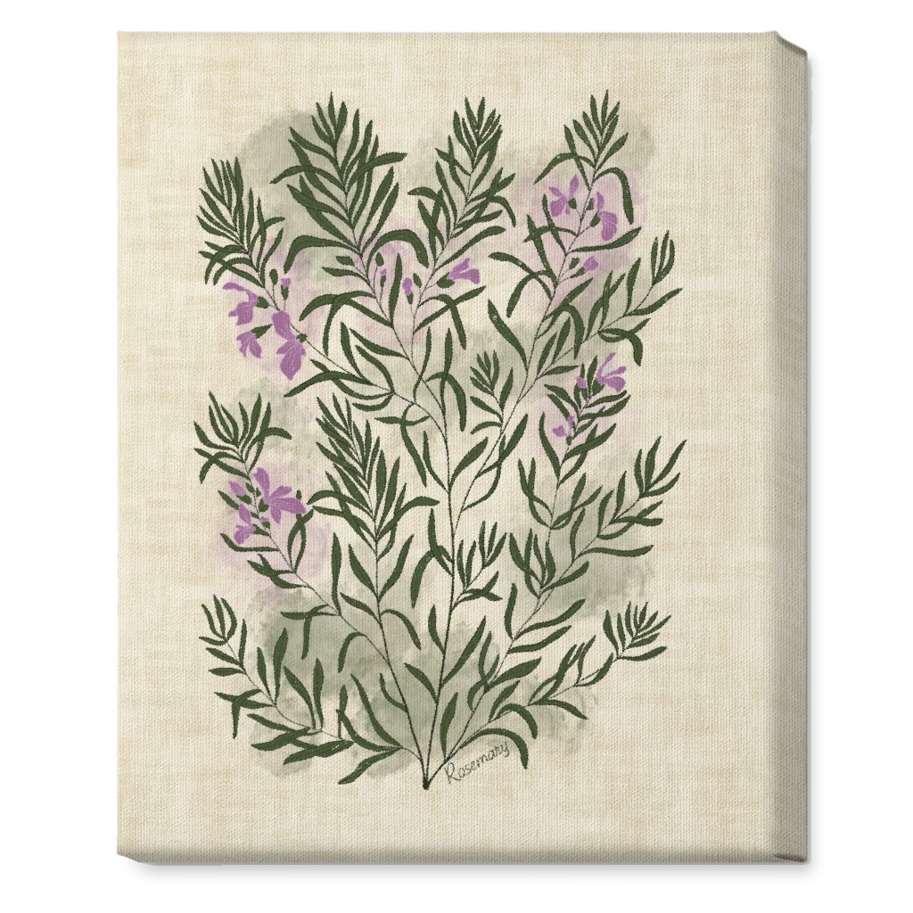 Rosemary - Botanical Illustration Wall Art, No Frame, Single piece, Canvas, 16x20, Beige, Pearl