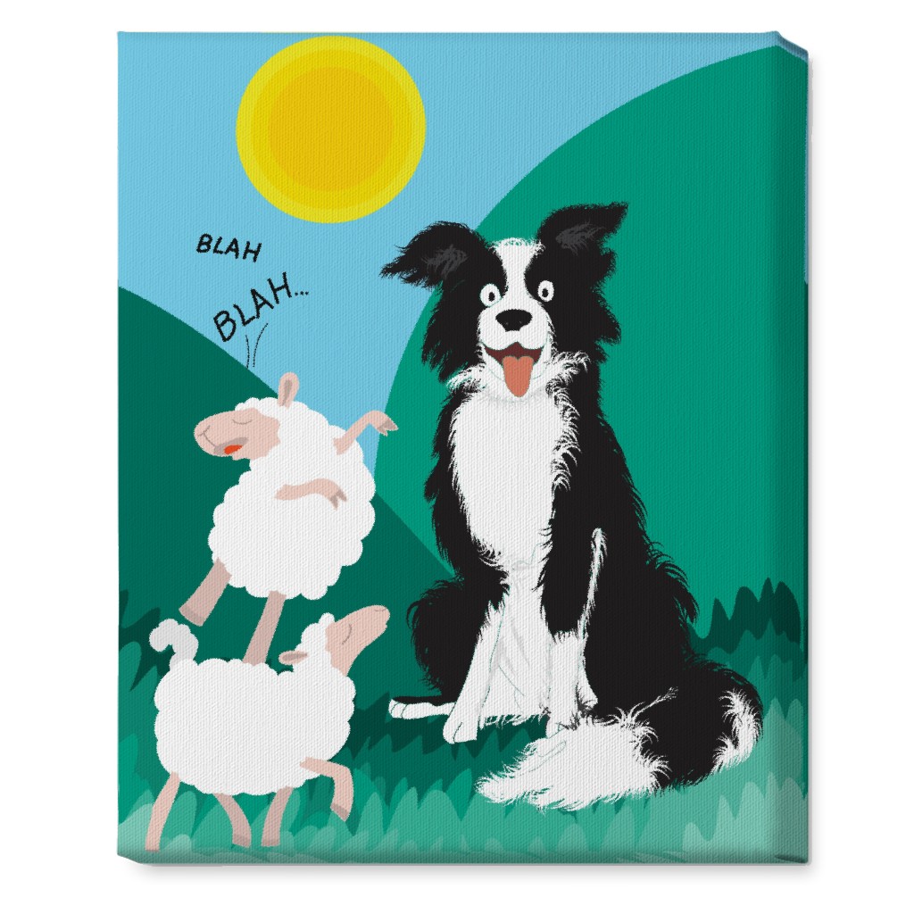 Border Collie and Sheep - Multi