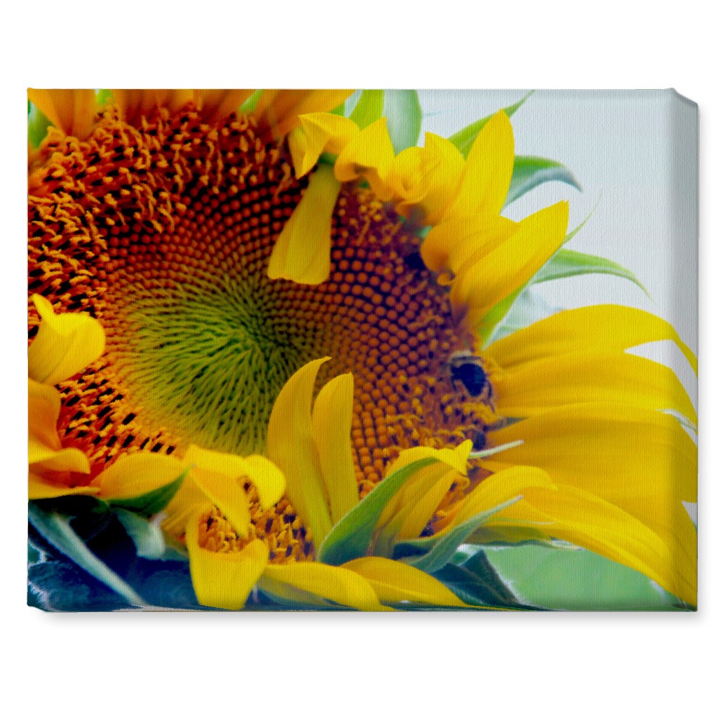 Sunflower and Bee - Yellow Wall Art, No Frame, Single piece, Canvas, 16x20, Yellow, Classic Yellow