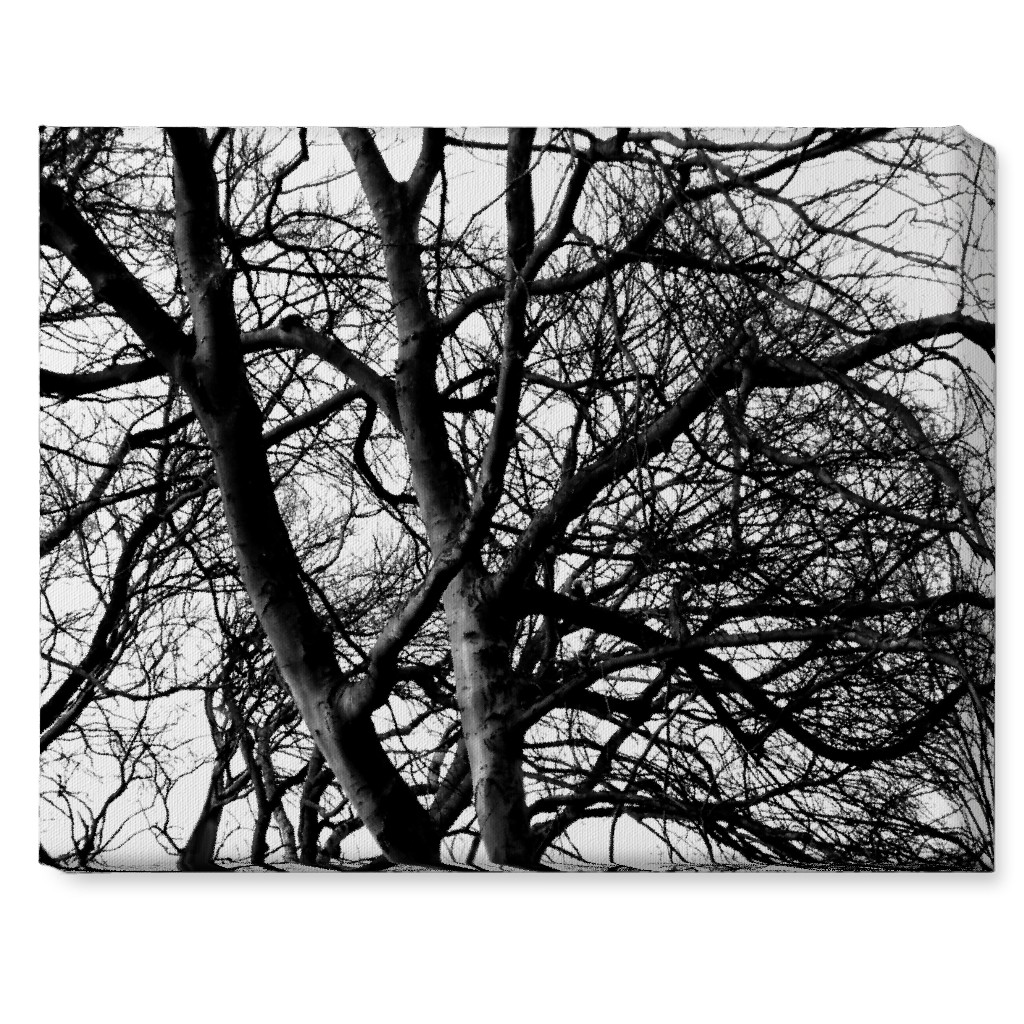 Tree Lace - Neutral Wall Art, No Frame, Single piece, Canvas, 16x20, Black