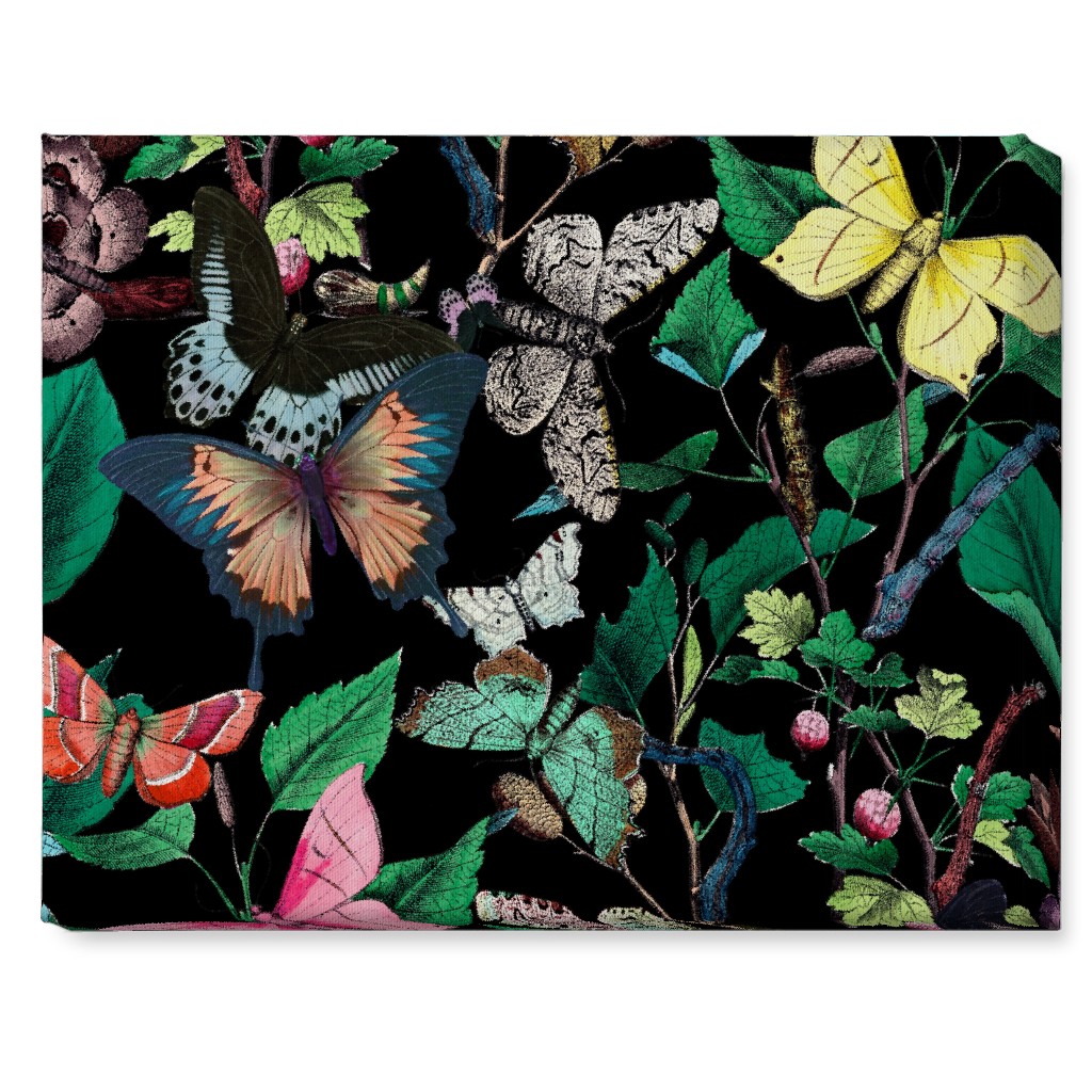 Butterfly Sanctuary - Bright on Black Wall Art, No Frame, Single piece, Canvas, 16x20, Multicolor