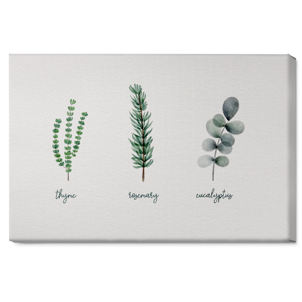 Watercolor Botanicals - Green Wall Art, No Frame, Single piece, Canvas, 20x30, Green, Classic Green