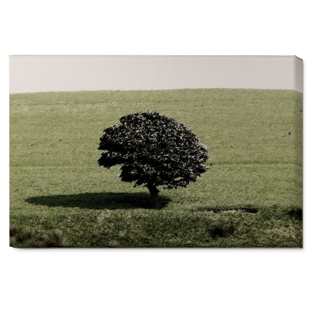 Cotton Wood Tree Wall Art, No Frame, Single piece, Canvas, 20x30, Green