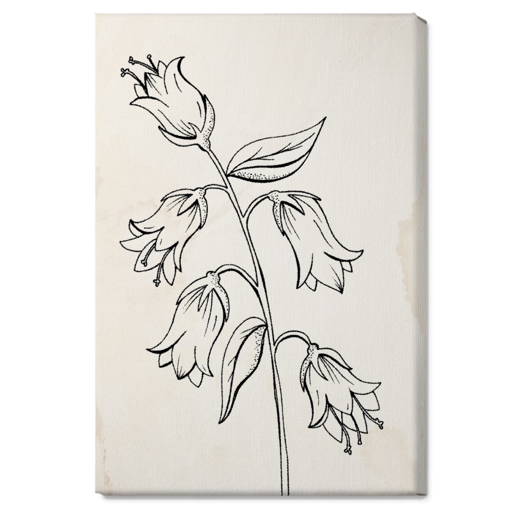 Vintage Bell Flower Sketch - Beige and Black Wall Art, No Frame, Single piece, Canvas, 20x30, Beige, Pearl