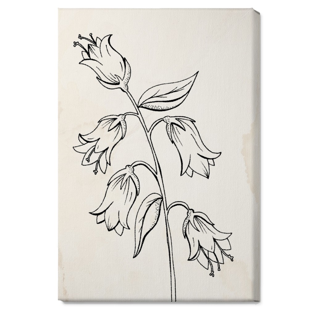 Vintage Bell Flower Sketch - Beige and Black Wall Art, No Frame, Single piece, Canvas, 20x30, Beige