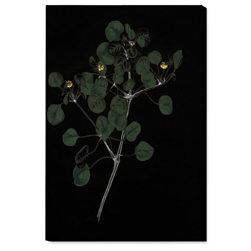 Midnight Botanical Sprig With Leaves - Black and Green Wall Art, No Frame, Single piece, Canvas, 24x36, Black