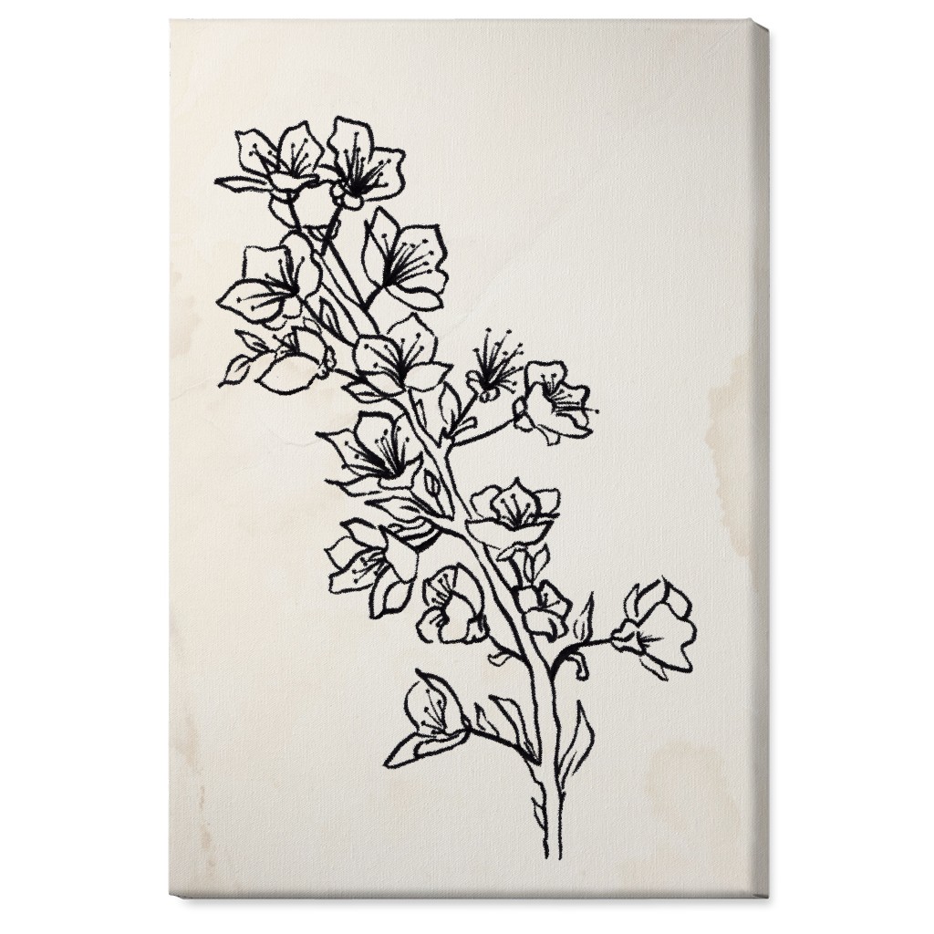 Vintage Plum Tree Sketch - Beige and Black Wall Art, No Frame, Single piece, Canvas, 24x36, Beige, Pearl
