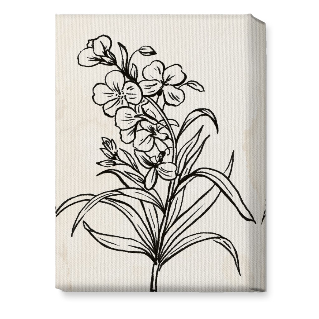 Vintage Wallflower Sketch - Beige and Black Wall Art, No Frame, Single piece, Canvas, 10x14, Beige