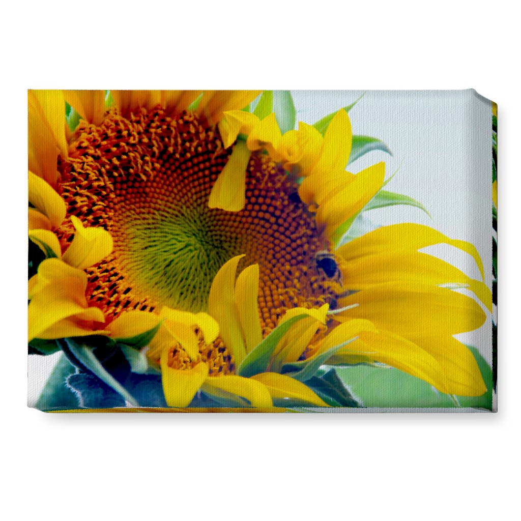 Sunflower and Bee - Yellow Wall Art, No Frame, Single piece, Canvas, 10x14, Yellow