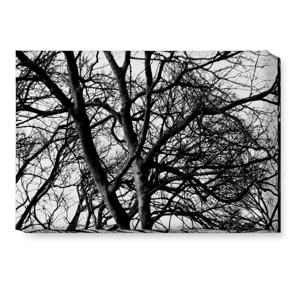 Tree Lace - Neutral Wall Art, No Frame, Single piece, Canvas, 10x14, Black, Black