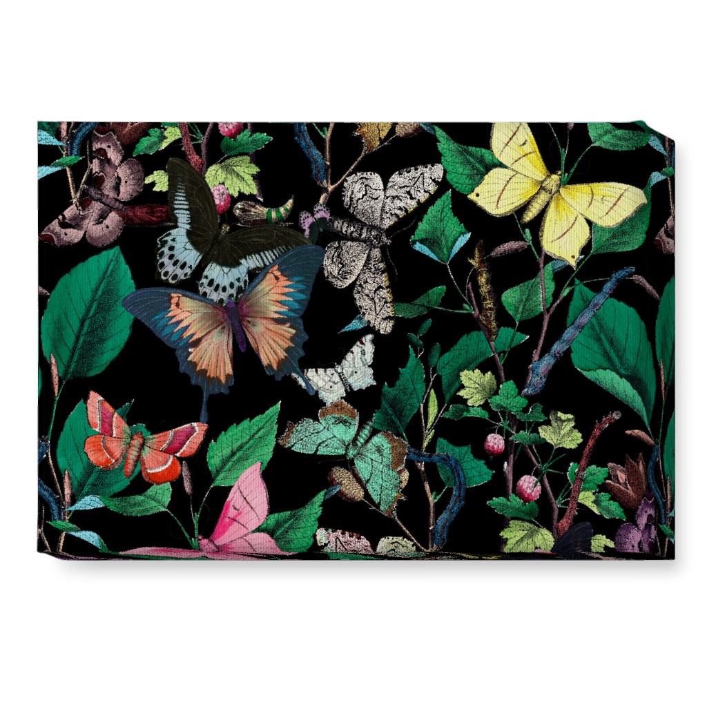 Butterfly Sanctuary - Bright on Black Wall Art, No Frame, Single piece, Canvas, 10x14, Multicolor