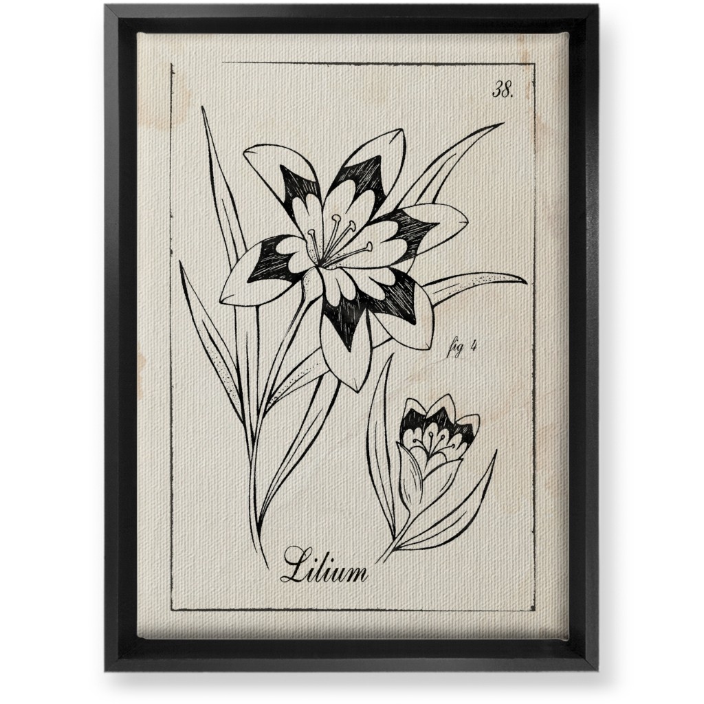 Vintage Plate Lily Sketch - Beige and Black Wall Art, Black, Single piece, Canvas, 10x14, Beige