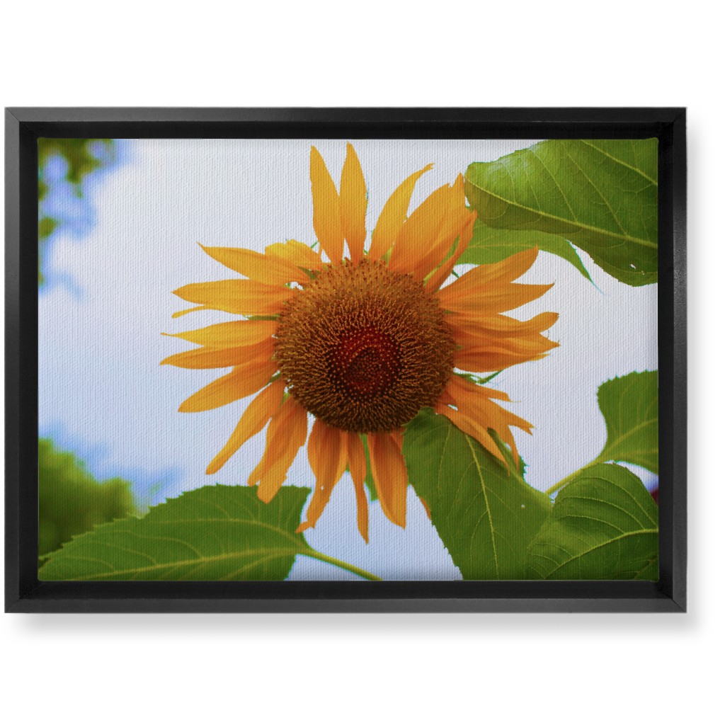 Sunny Sunflower - Yellow Wall Art, Black, Single piece, Canvas, 10x14, Yellow