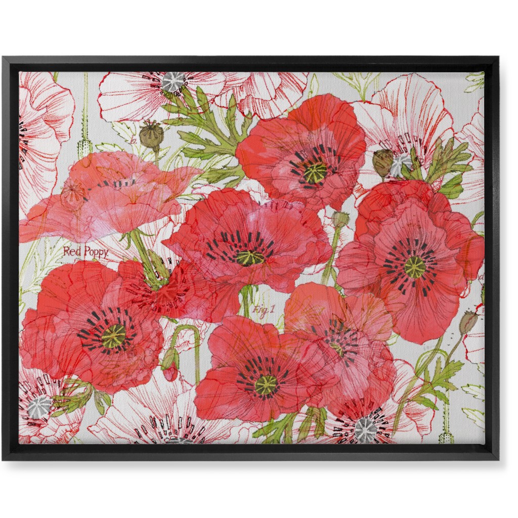 Poppy Romance - Red Wall Art, Black, Single piece, Canvas, 16x20, Red, Red