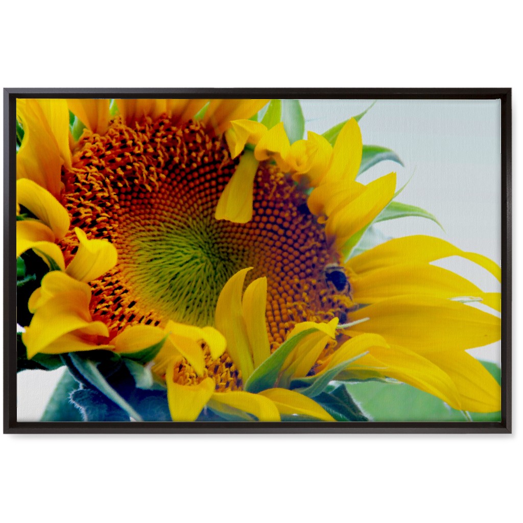 Sunflower and Bee - Yellow Wall Art, Black, Single piece, Canvas, 20x30, Yellow