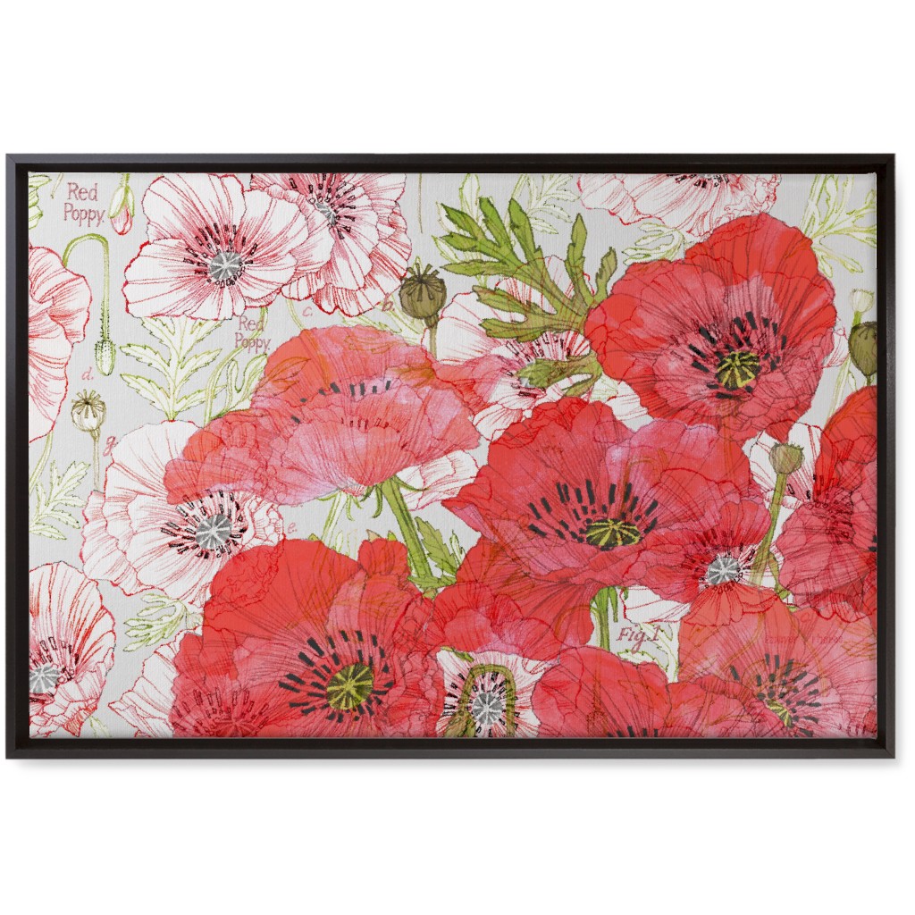 Poppies Romance - Red Wall Art, Black, Single piece, Canvas, 20x30, Red