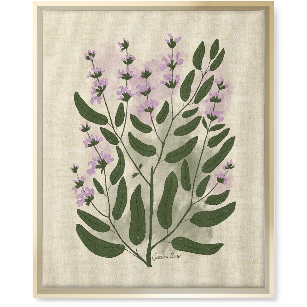 Garden Sage Botanical Illustration Wall Art, Gold, Single piece, Canvas, 16x20, Beige, Pearl