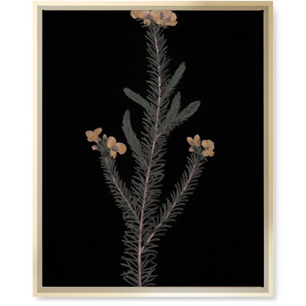 Midnight Botanical - Black and Green Wall Art, Gold, Single piece, Canvas, 16x20, Black