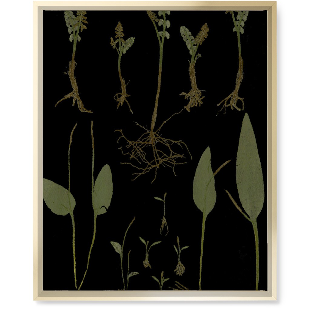 Botanicals At Midnight - Black and Green Wall Art, Gold, Single piece, Canvas, 16x20, Black, Black